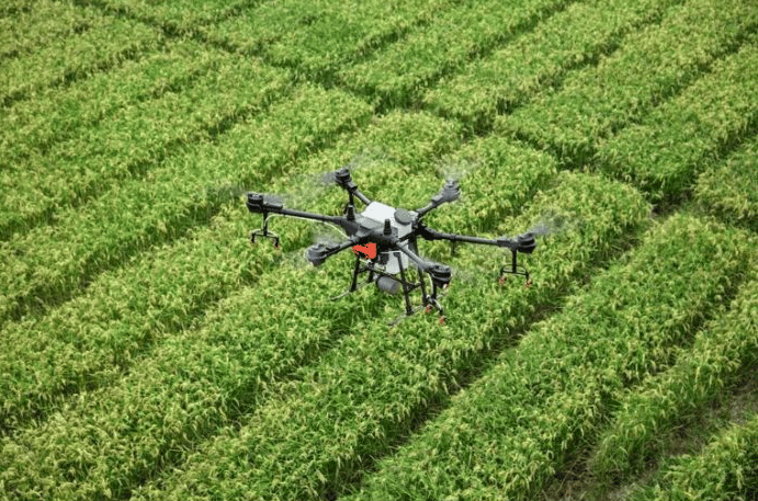 NASENI conçoit le premier véhicule aérien sans pilote fabriqué au Nigeria pour l’agriculture